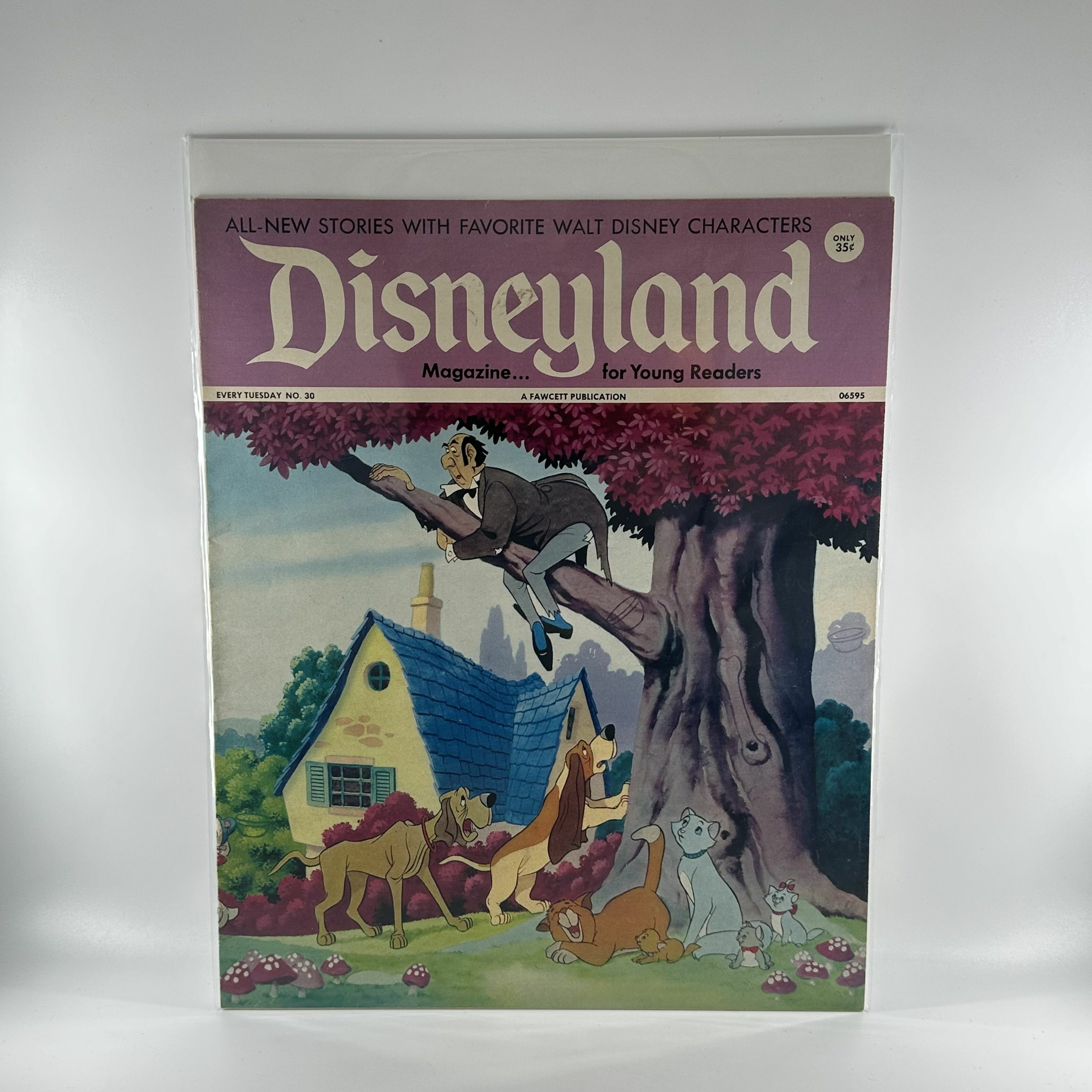 迪士尼雜誌 Disneyland Magazine 30