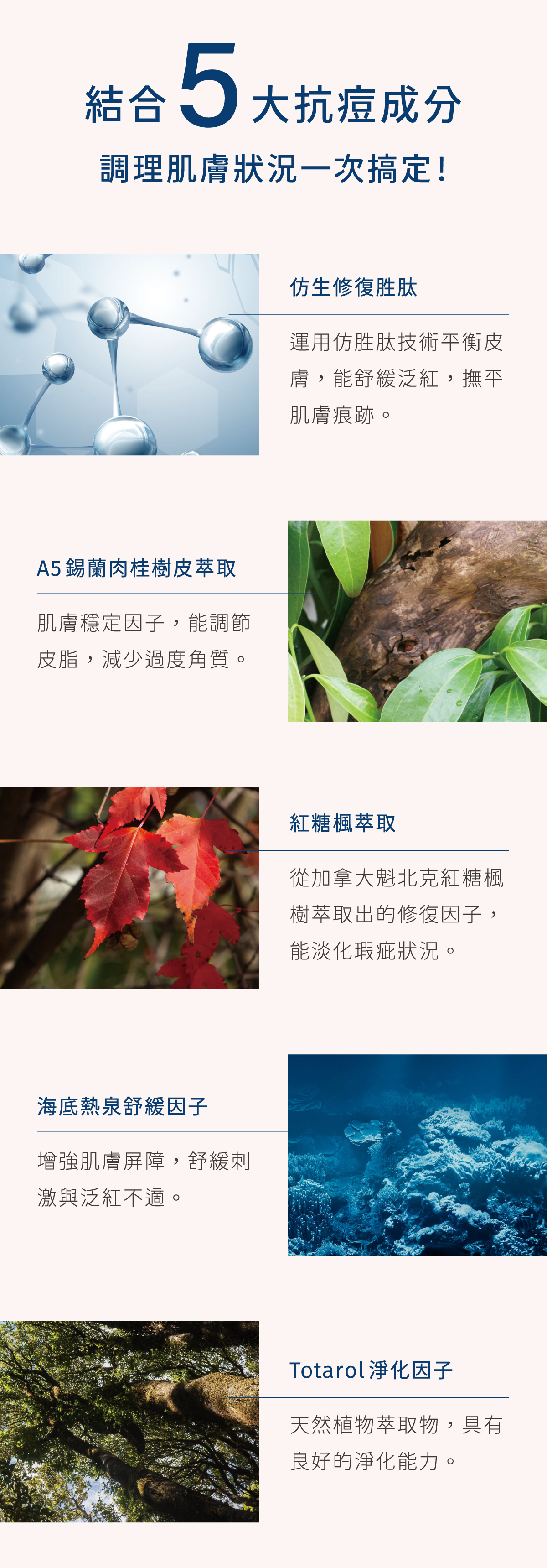 結合五大抗痘成分 調理肌膚狀況