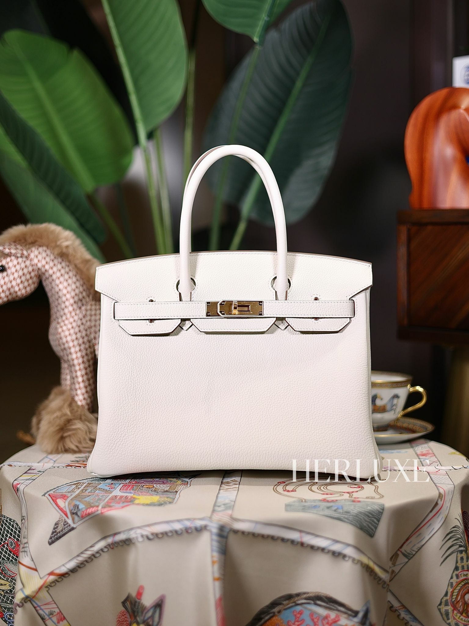 Birkin 30 0T mushroom cc togo B