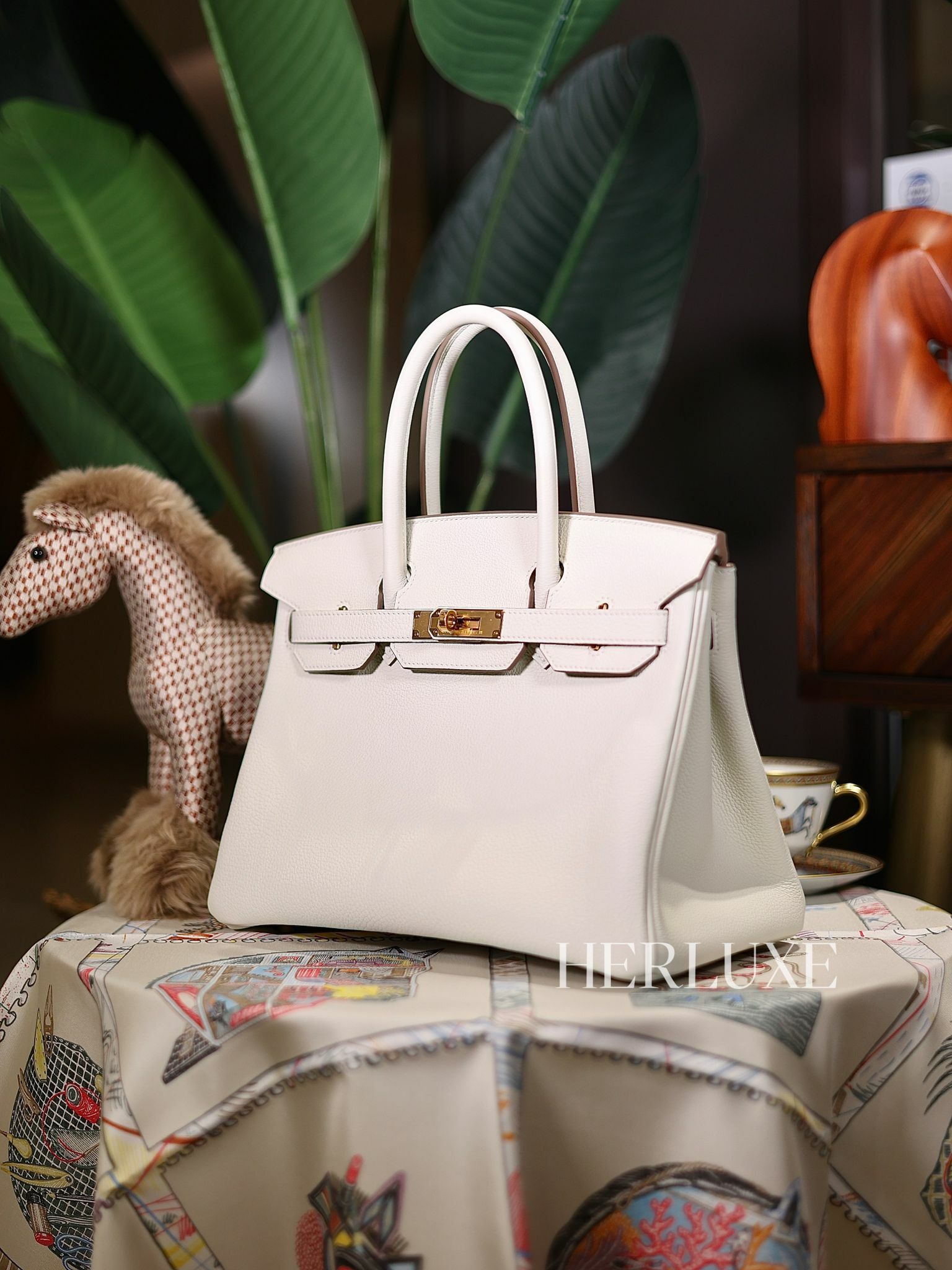 Birkin 30 0T mushroom cc togo B