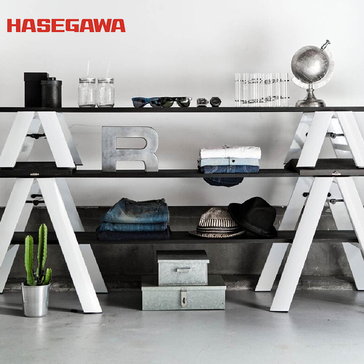 hasegawa