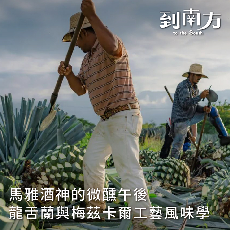 工作坊｜龍舌蘭與梅茲卡爾工藝風味學