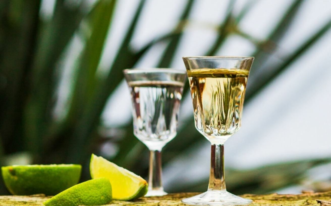 工作坊｜龍舌蘭與梅茲卡爾工藝風味學