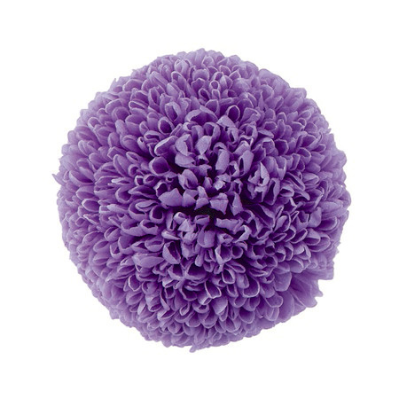 不凋乒乓菊(6朵) 02640-451