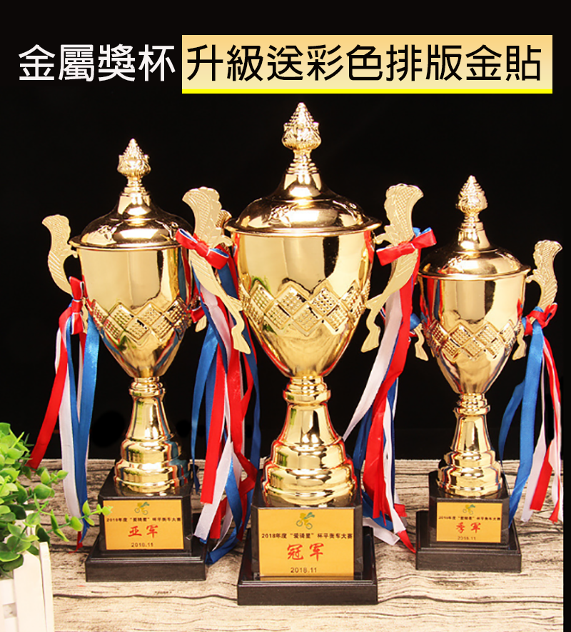 金屬獎杯 升級送彩色排版金貼 169