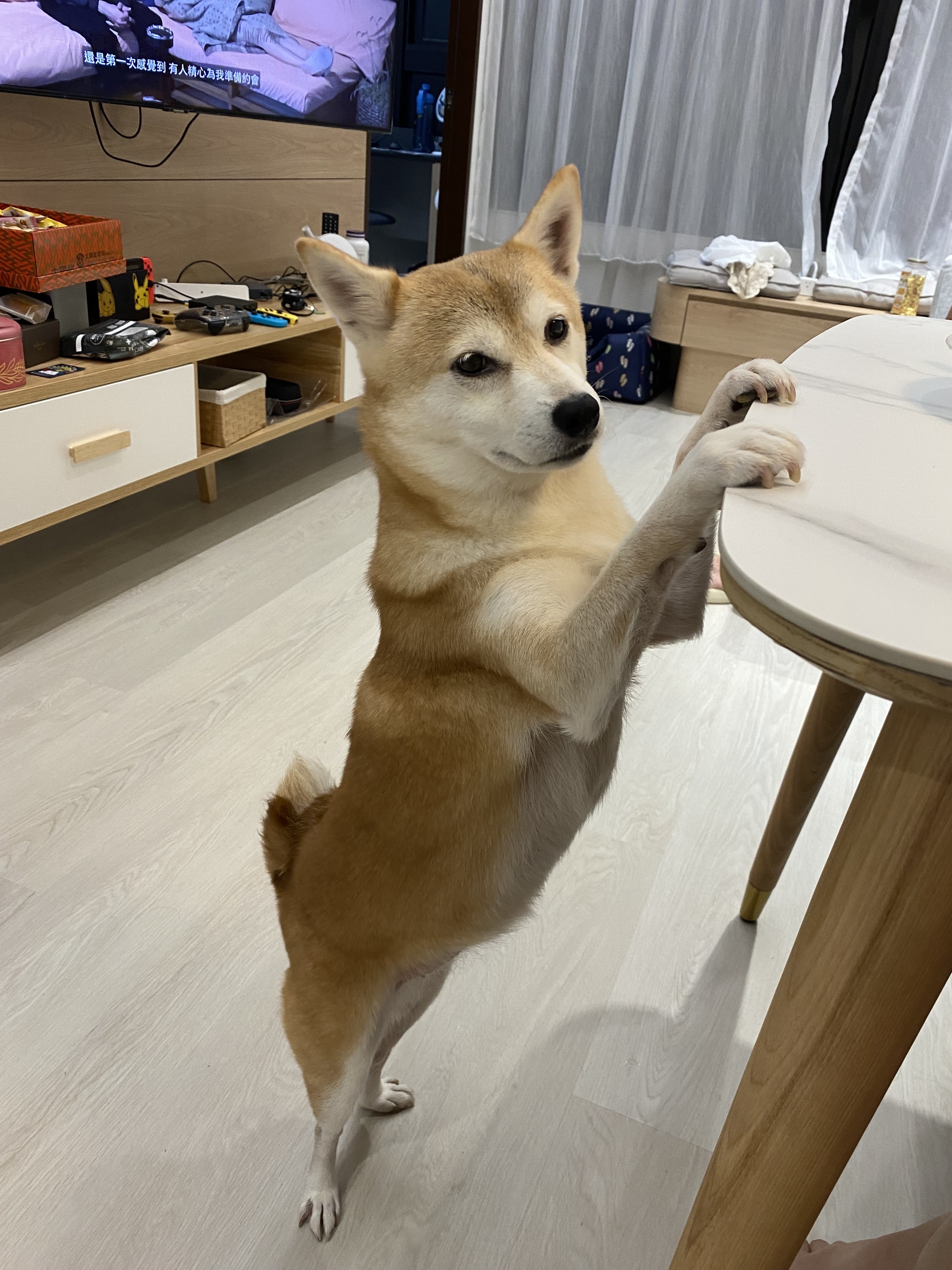 a 糕餅 一盒四入任選口味