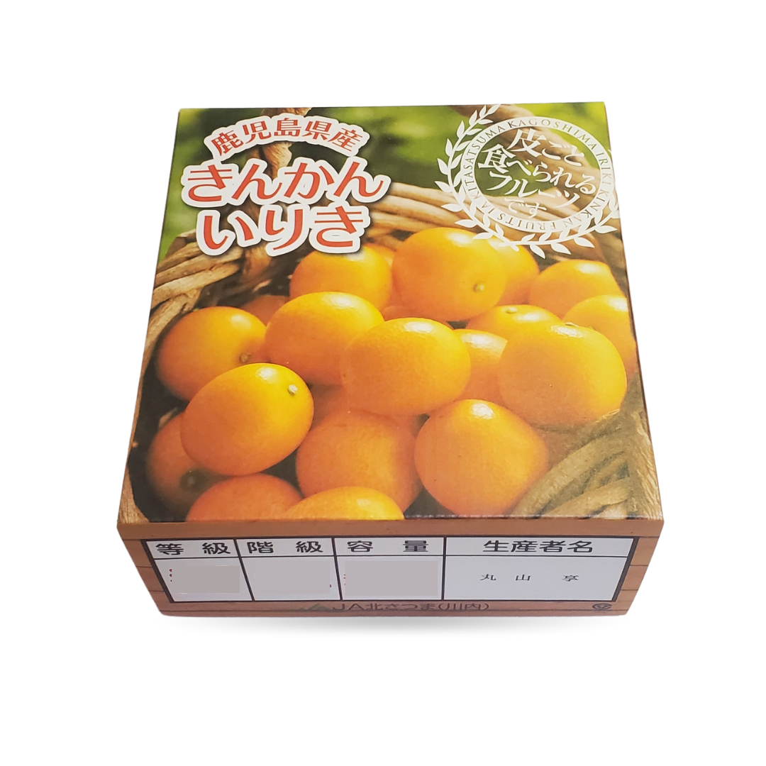 日本鹿兒島柑桔 [禮盒裝]