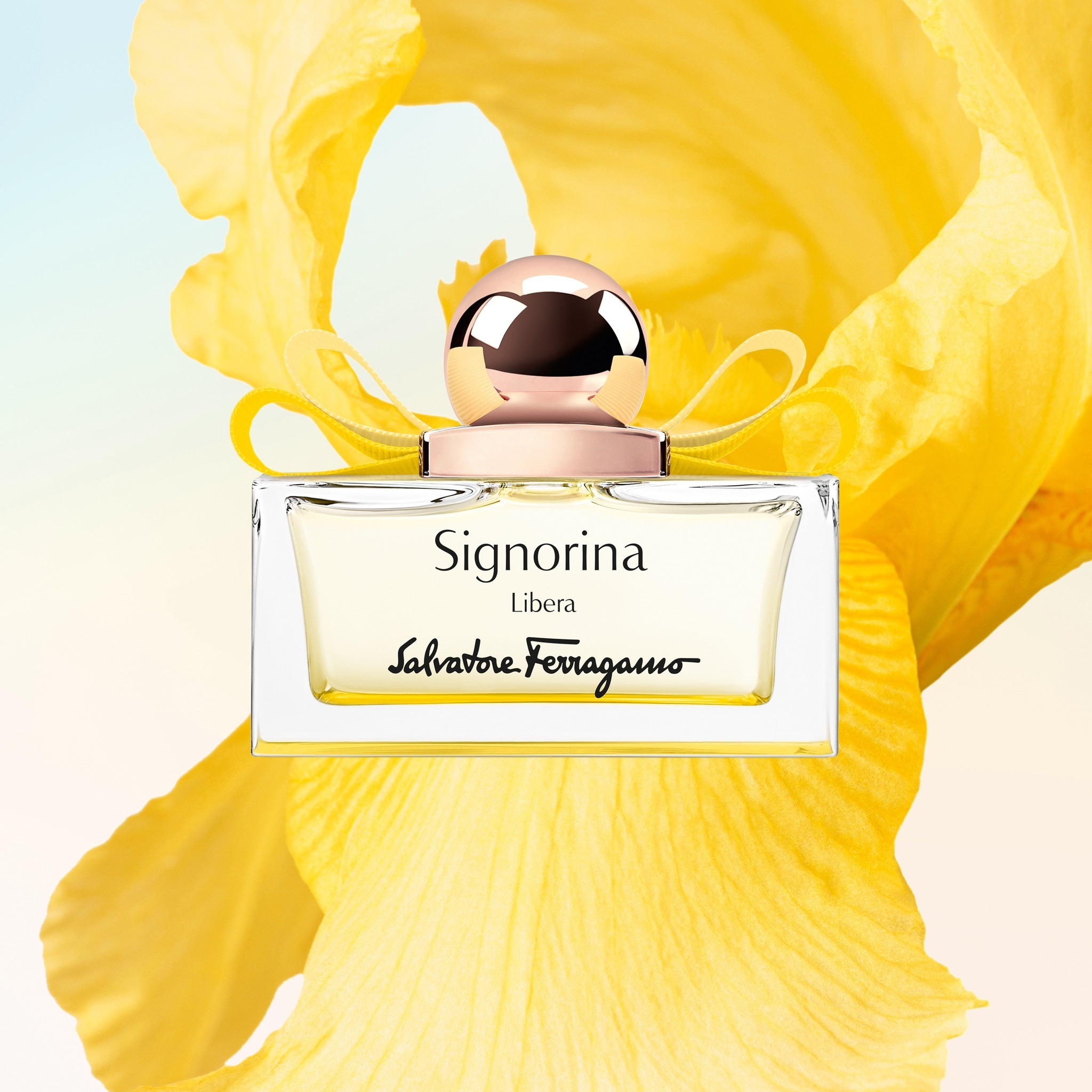 【鋒恩香水】Salvatore Ferragamo 晨光綻放女性淡香精 100ML