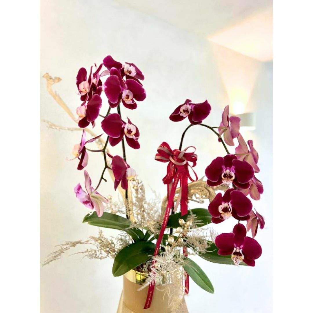 貳樓有花・開幕花・吉祥如意款