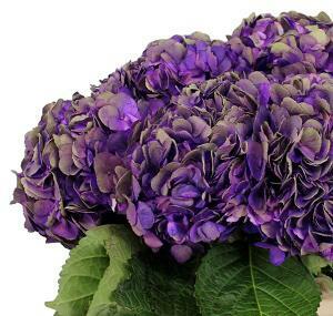 Purple-Pink Feminine! | Mixed Flowers, Carnations, Colombia, Dia: 35-50cm (3 Sizes), Wrapped in Bouquet Kraft Paper + Organza with Ribbon