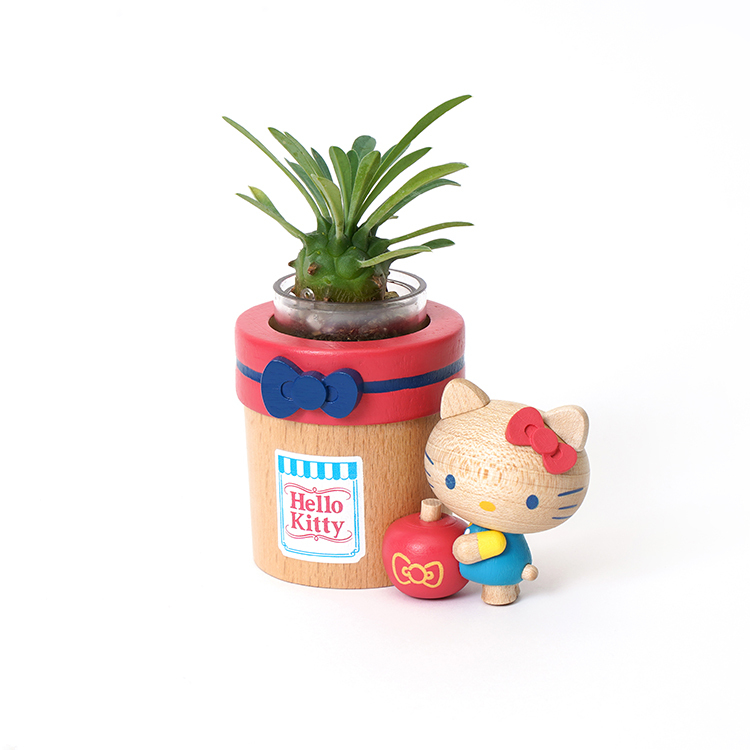 Hello Kitty 蘋果】盆器多肉盆栽罐．三麗鷗Sanrio｜Wooderful life
