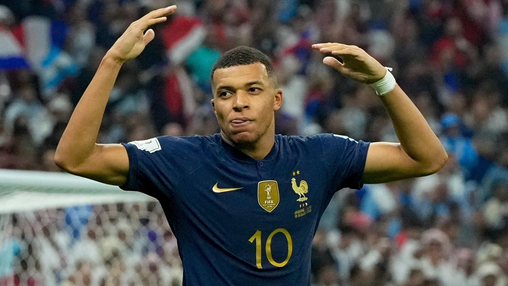 2018世界杯冠軍金章（法國用）