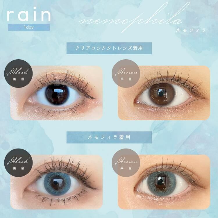 [日拋] rain 1 Day  Nemophila 彩妝隱形眼鏡｜每盒10片