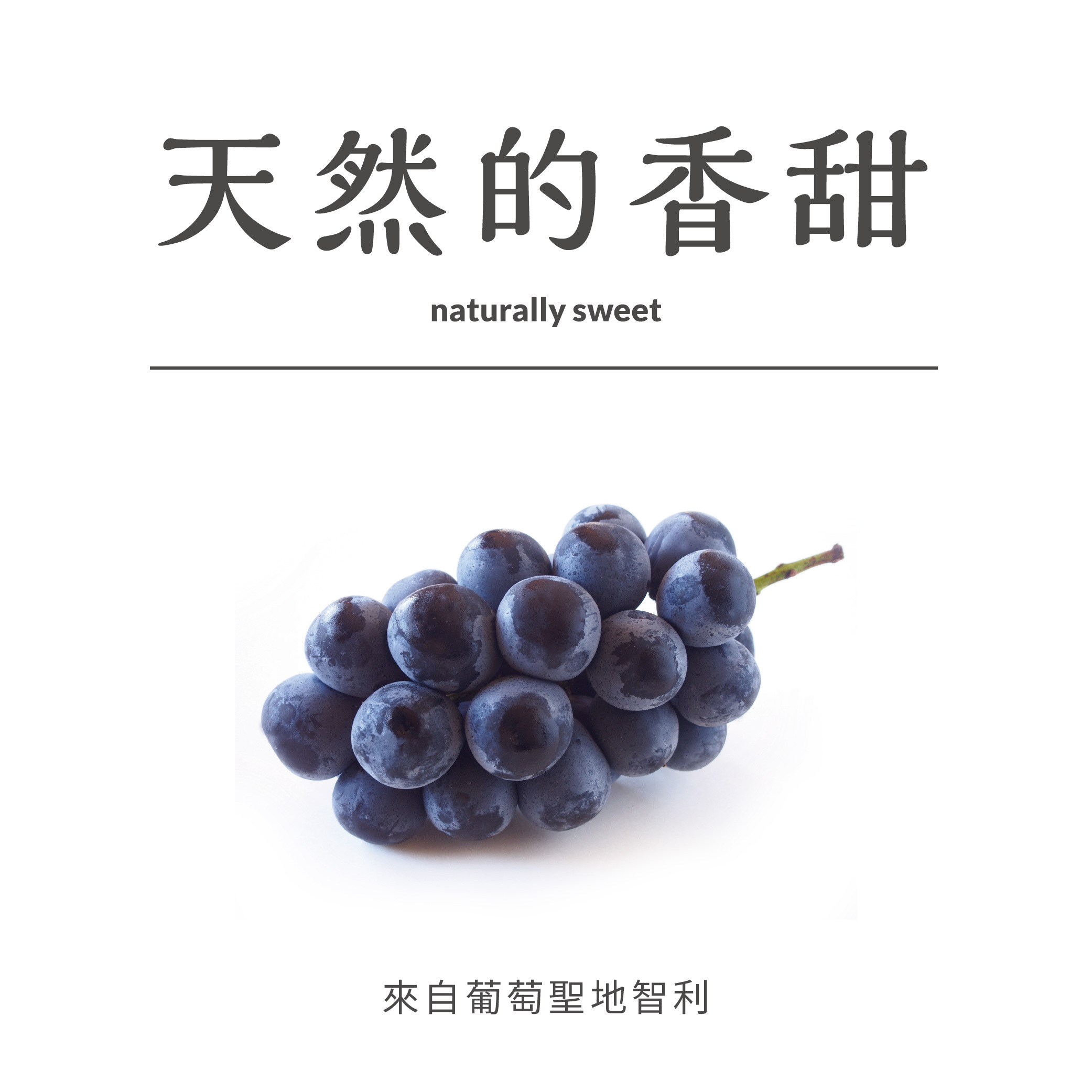 original.jpg?1680058591