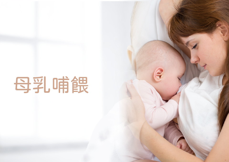 電動吸乳器立體,母乳儲存袋,超薄溢乳墊