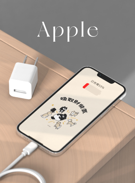 Apple 原廠豆腐頭