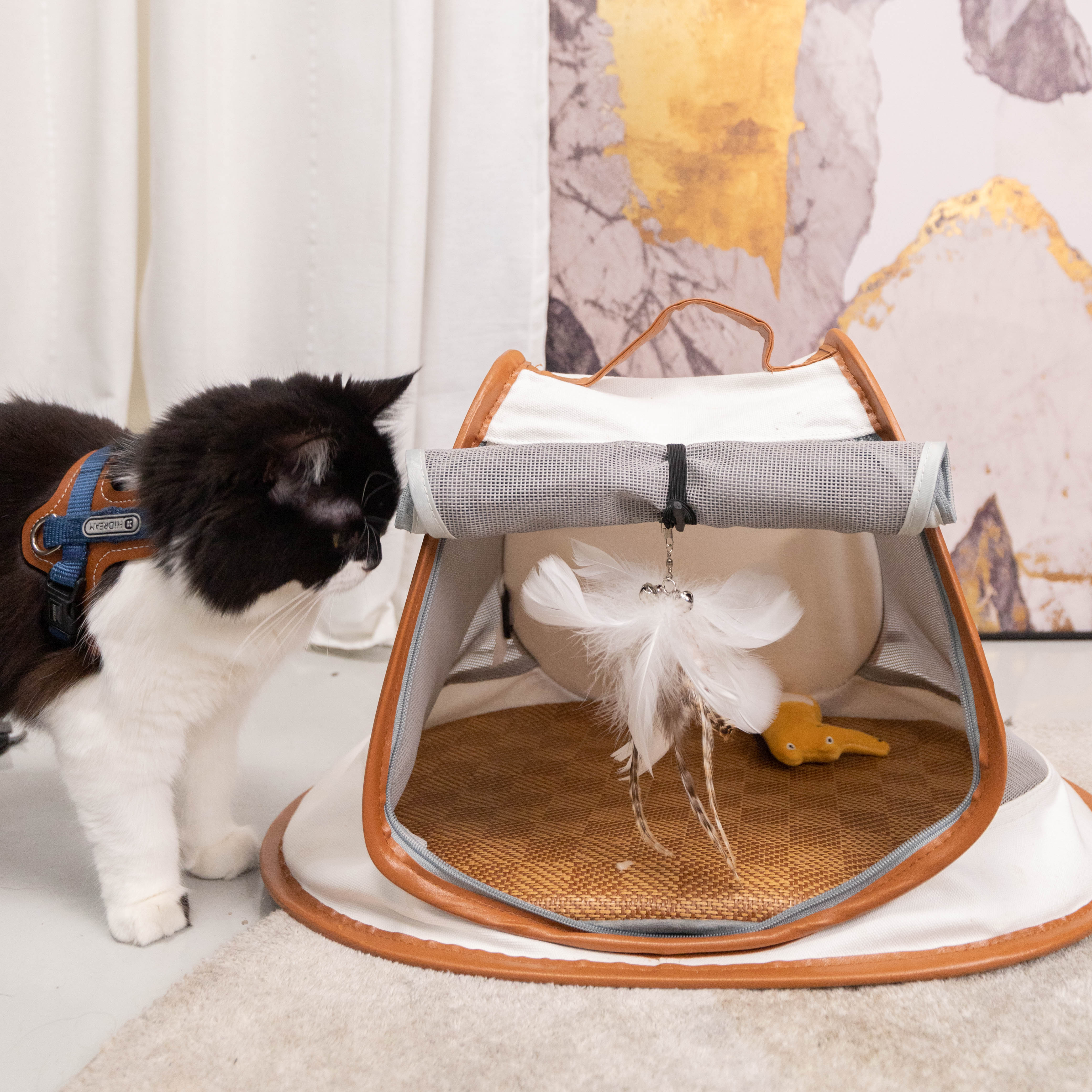 貓咪露營包｜寵物小帳篷 - LeapSelect