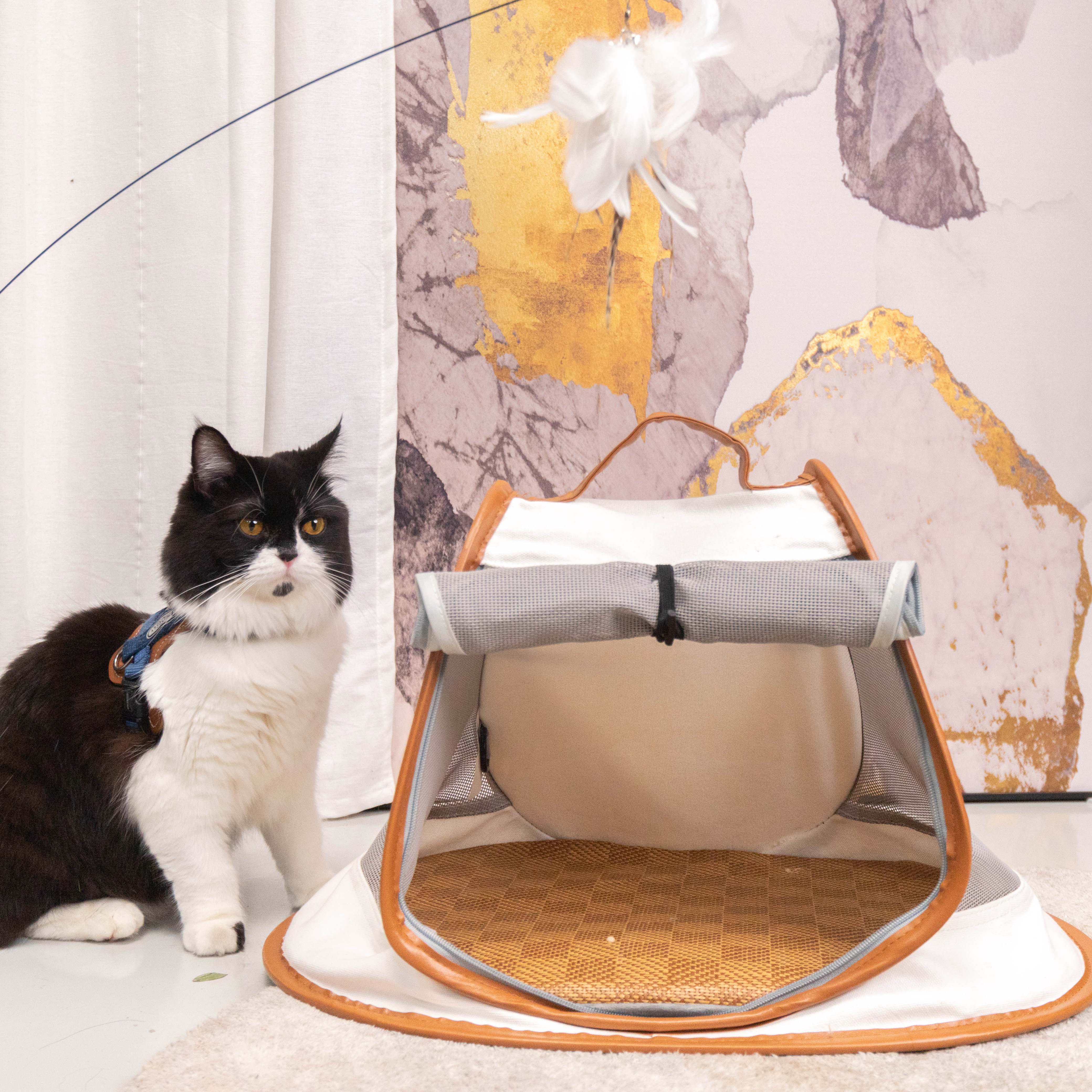 貓咪露營包｜寵物小帳篷 - LeapSelect