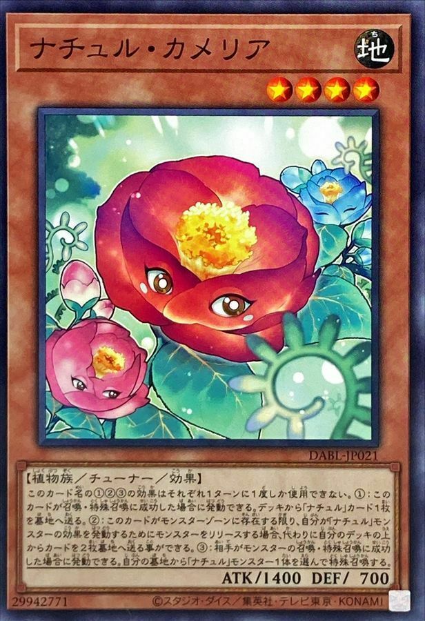 DABL-JP021 ナチュル・カメリア