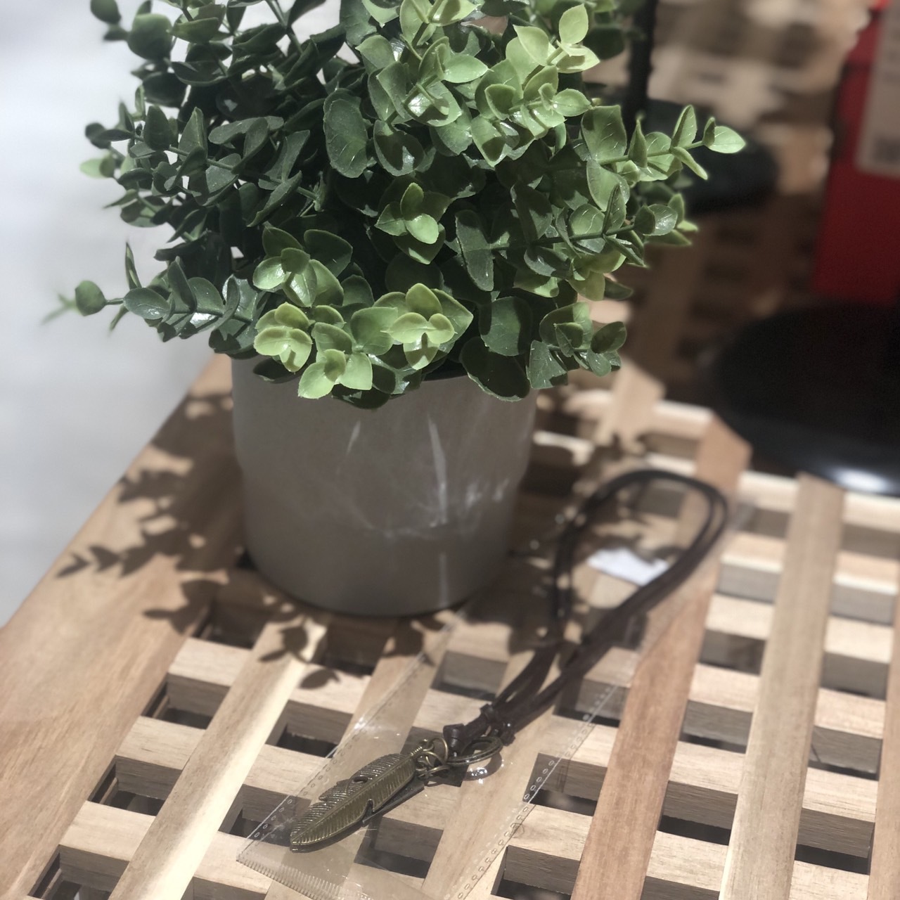 仿舊復古羽毛項鍊 B0112