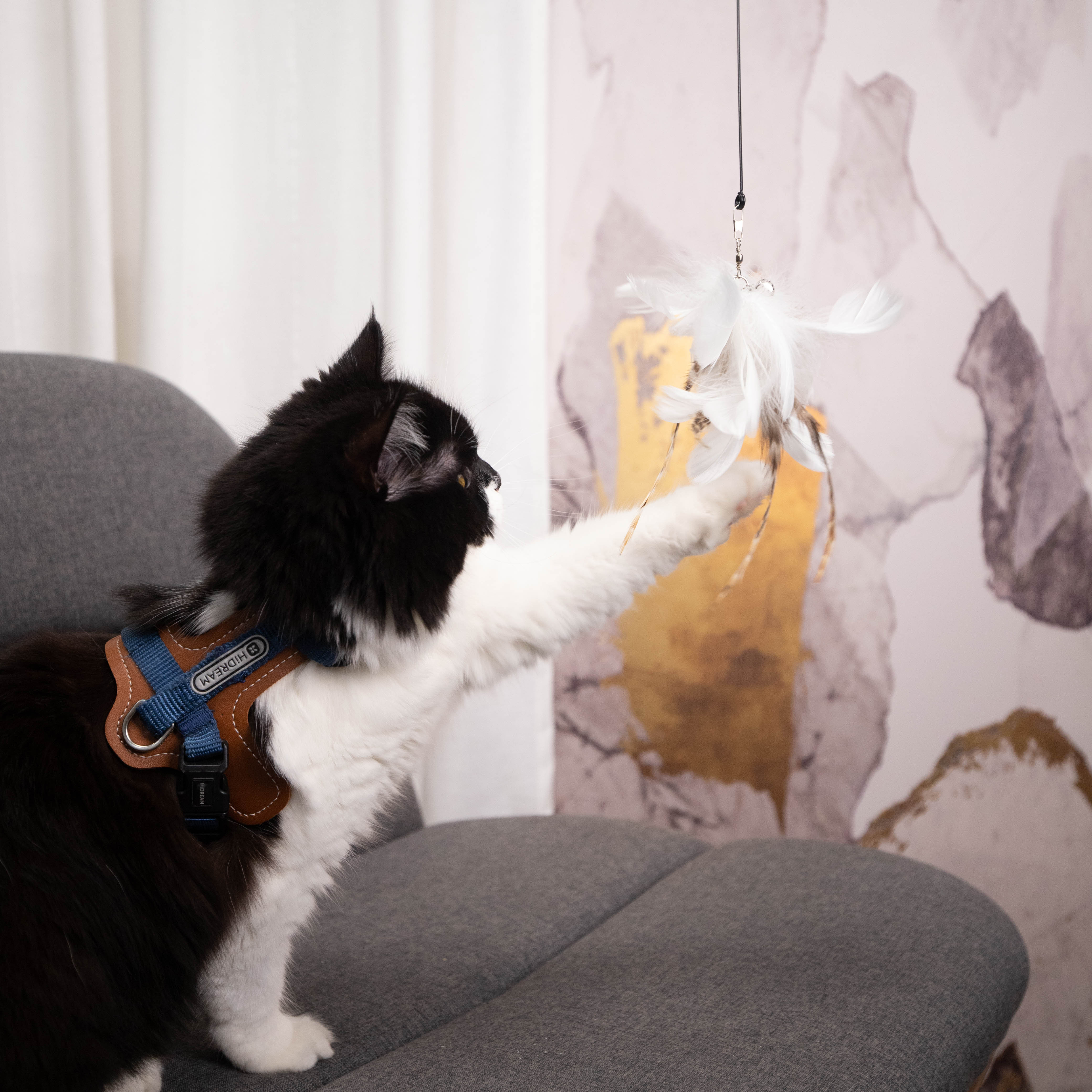 羽毛逗貓棒｜吸盤/手持兩用｜逗貓玩具 - LeapSelect