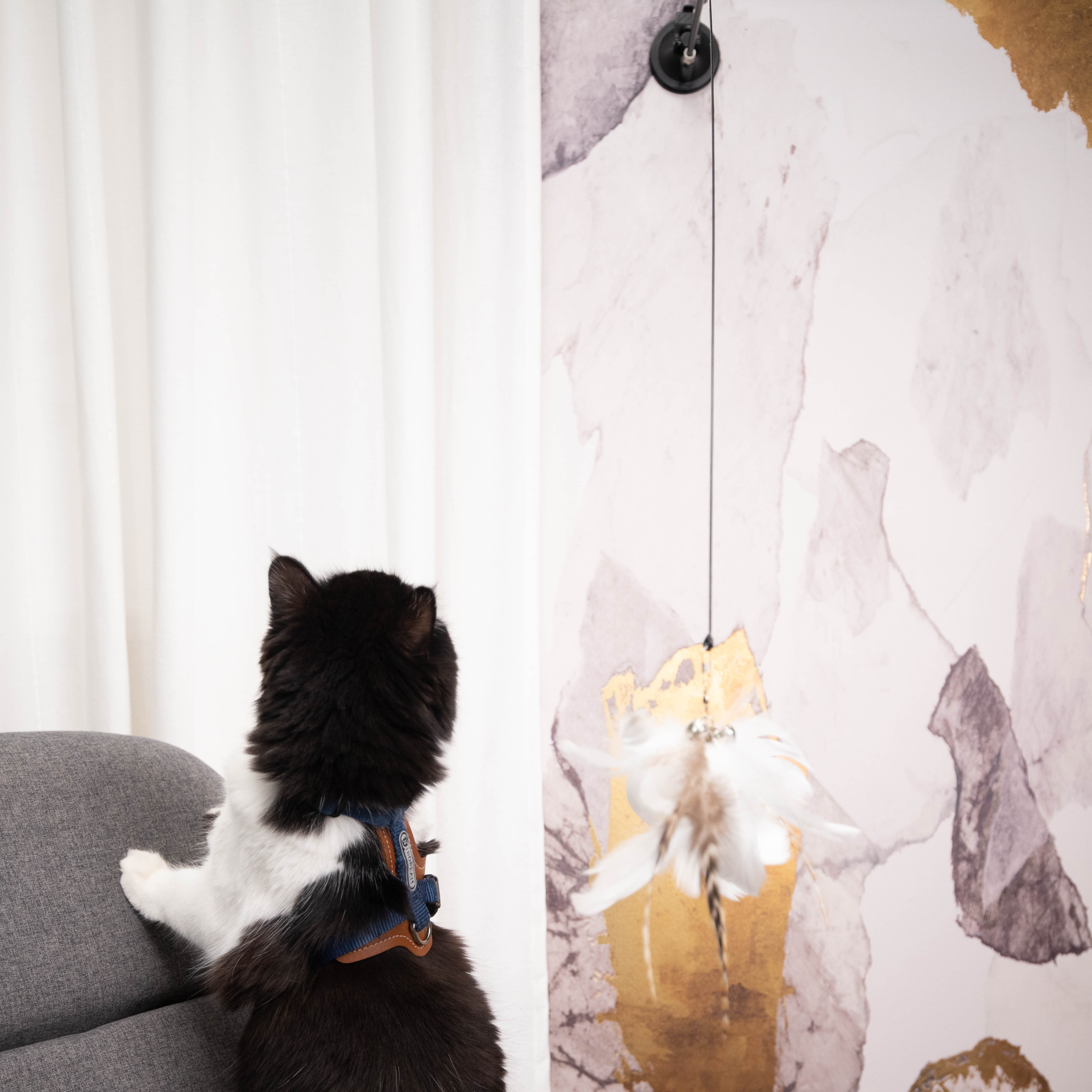 羽毛逗貓棒｜吸盤/手持兩用｜逗貓玩具 - LeapSelect