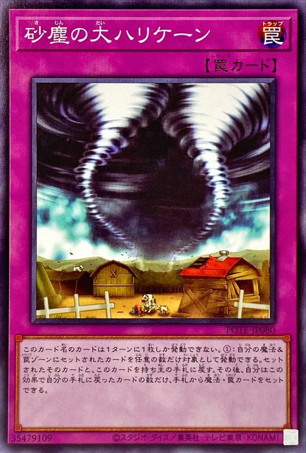 POTE-JP080 砂塵の大ハリケーン