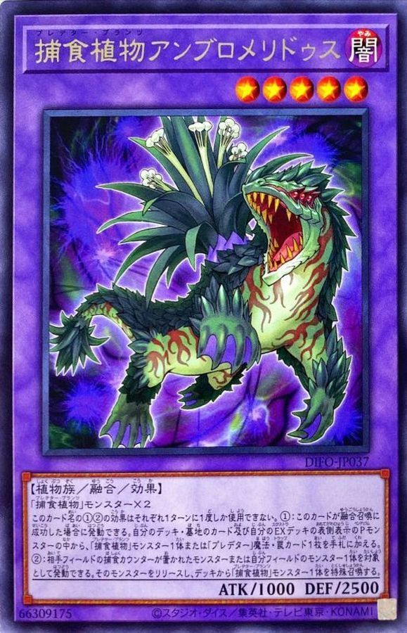 DIFO-JP037 捕食植物アンブロメリドゥス