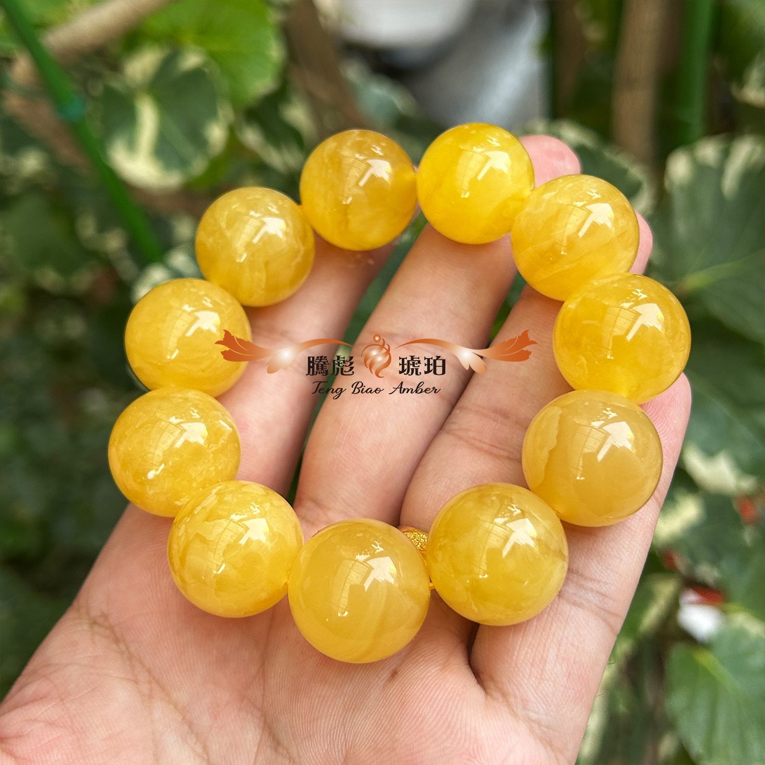 (已結緣)收藏款3A天然波羅的海雞油黃飄花蜜蠟圓珠手鍊 19+mm