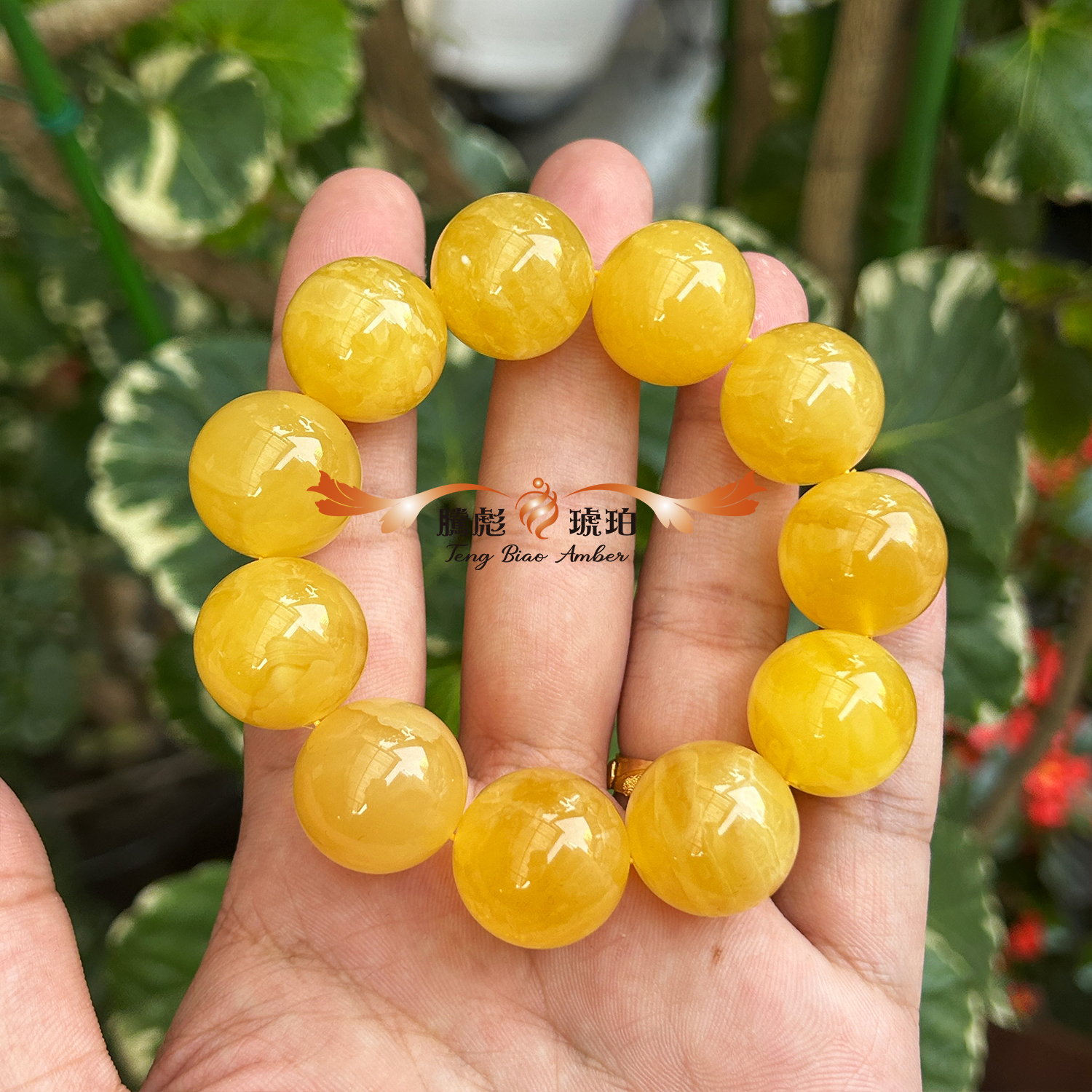 (已結緣)收藏款3A天然波羅的海雞油黃飄花蜜蠟圓珠手鍊 19+mm