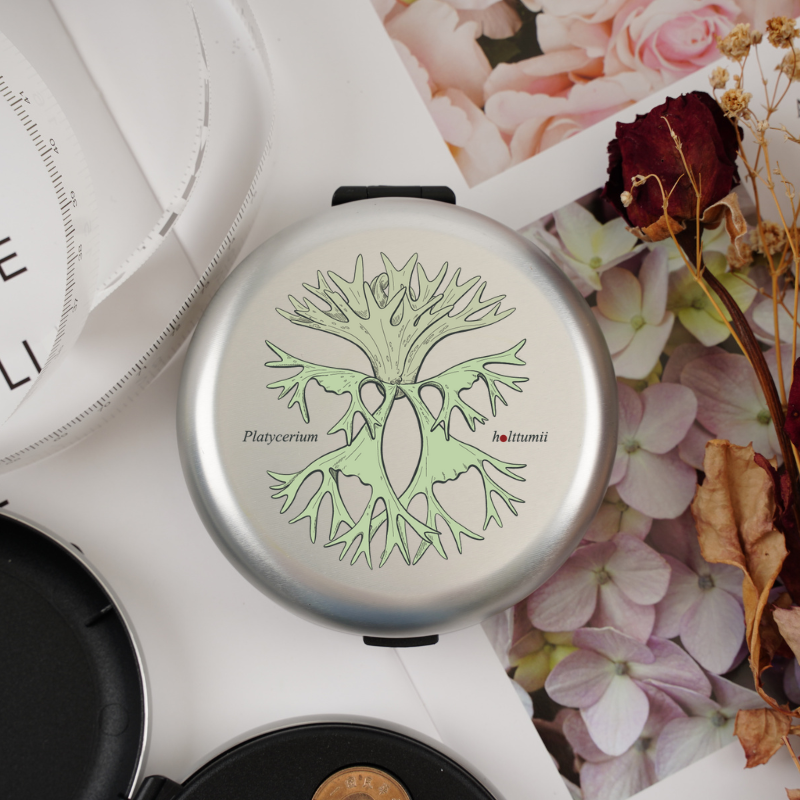 日幣-植物勇者-鹿角蕨