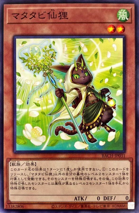 BACH-JP031 マタタビ仙狸