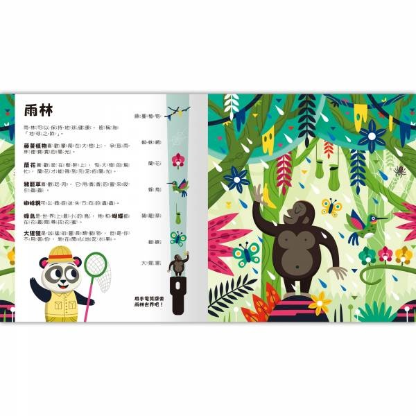 【樂森藥局】🔦知識型手電筒膠片探險🔦Spotlight！夜遊大自然 禾流文創 繪本 童書 探險知識小百科