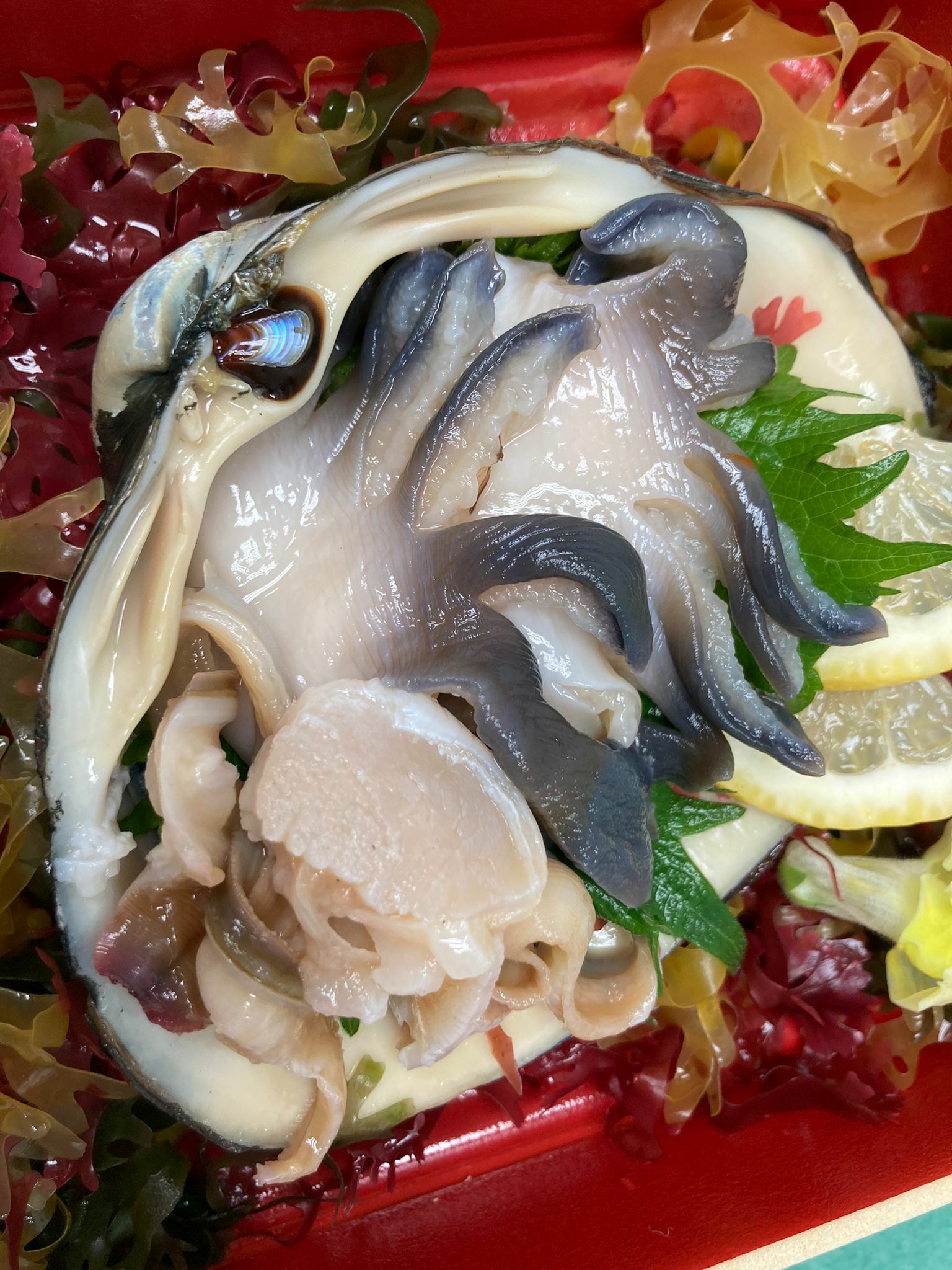 鮮北寄貝 -- 每隻(北海道產)