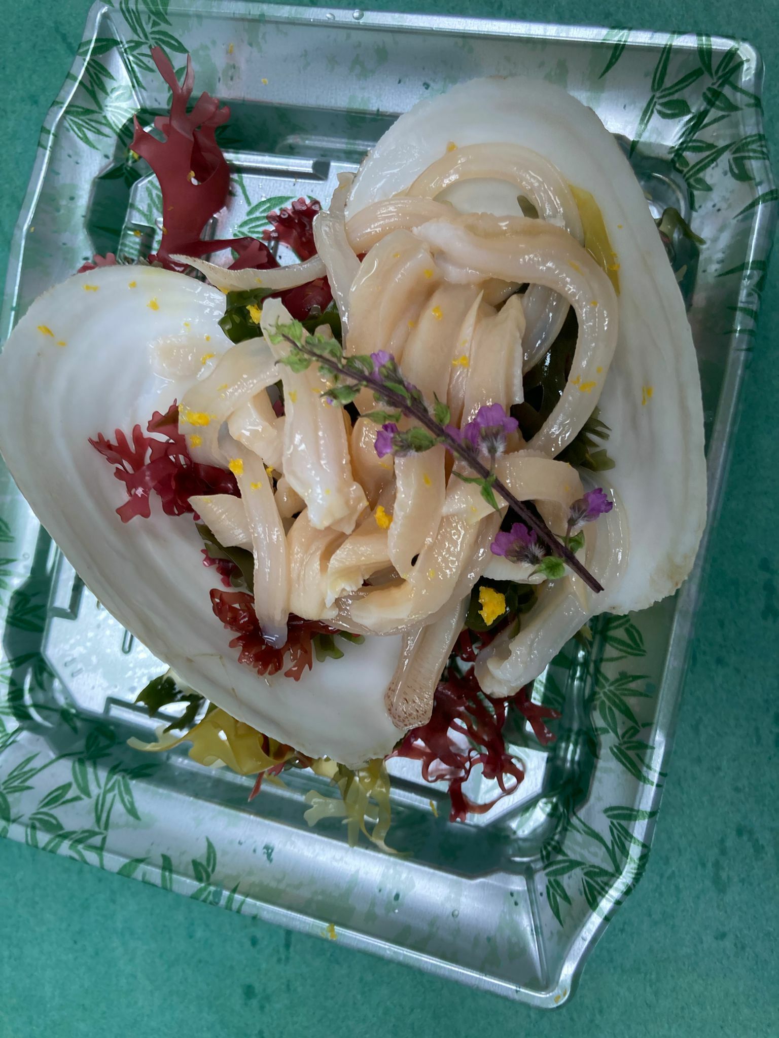 日本白象拔蚌 -- 每隻(愛知産)