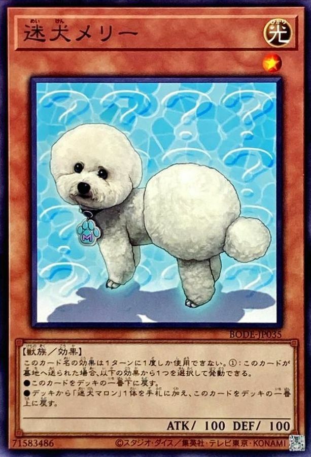 BODE-JP035 迷犬メリー