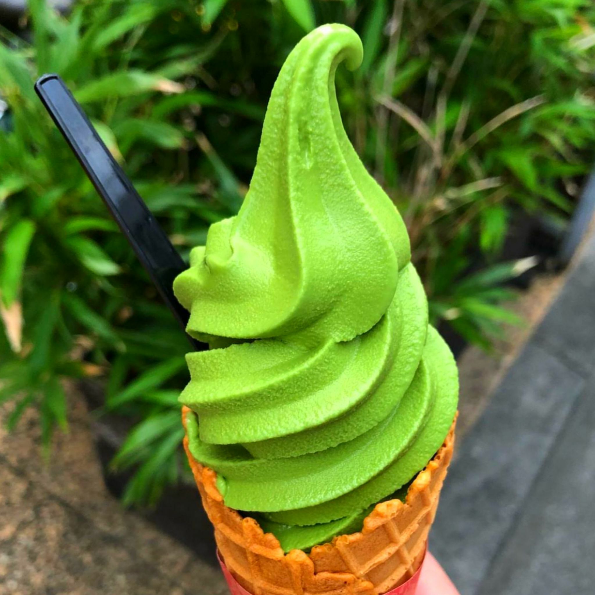 山政小山園抹茶槇の白【綠茶/ 宇治抹茶】