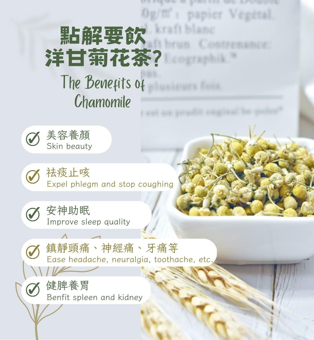 洋甘菊花茶 (35g/1pc) 健脾養胃 改善睡眠 祛痰止咳