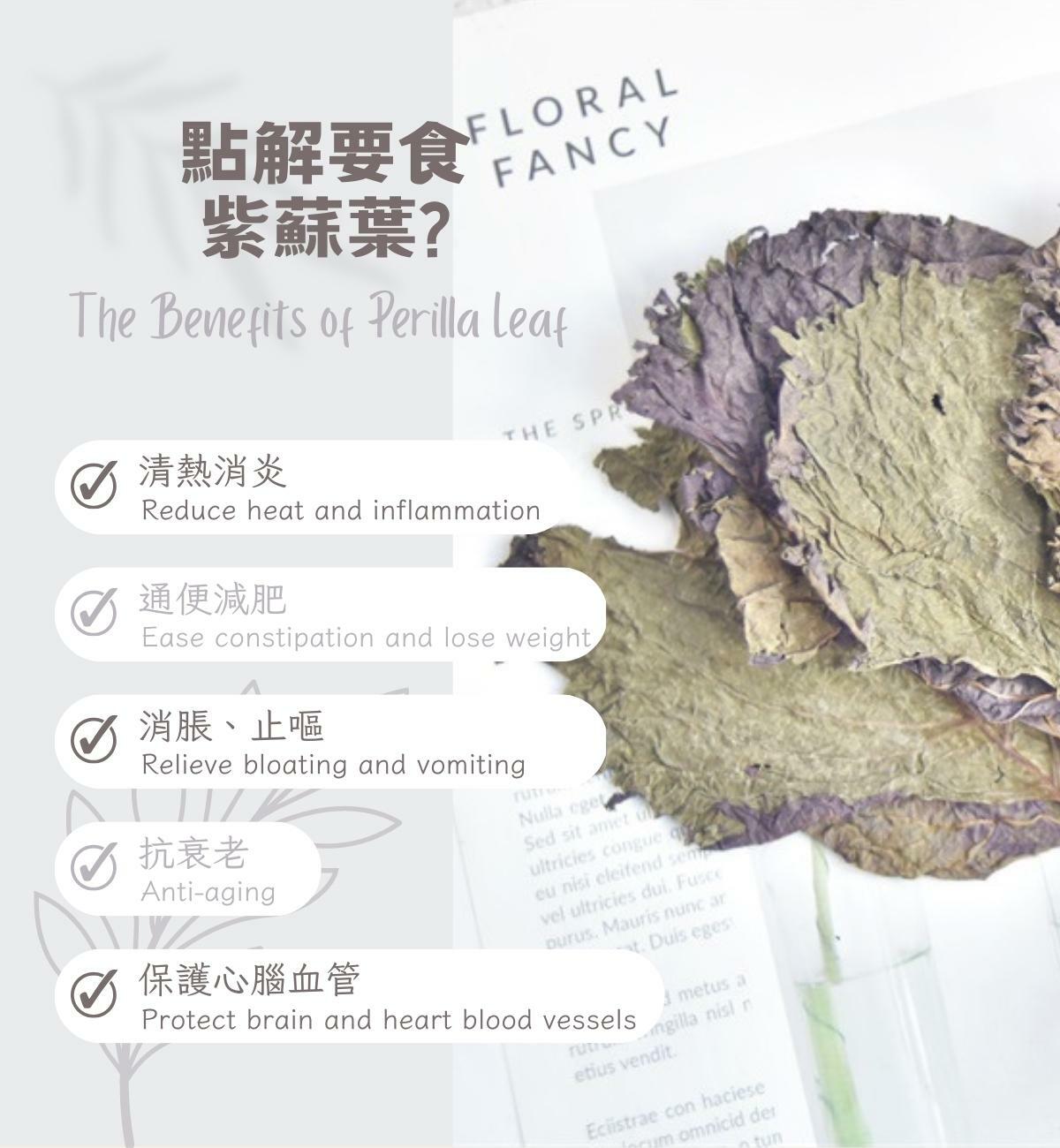 紫蘇葉 (25g/1pc) 清熱消炎 解表散寒 行氣和胃 消除水腫 *新貨葉片較小 介意者慎購