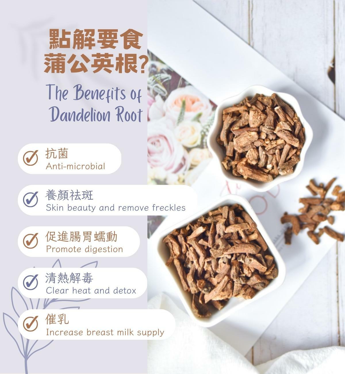 蒲公英根 (100g/1pc) 清熱解毒 消腫散結 利尿通淋