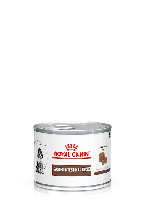 Royal Canin Prescription Diet Canine GastroIntestinal P