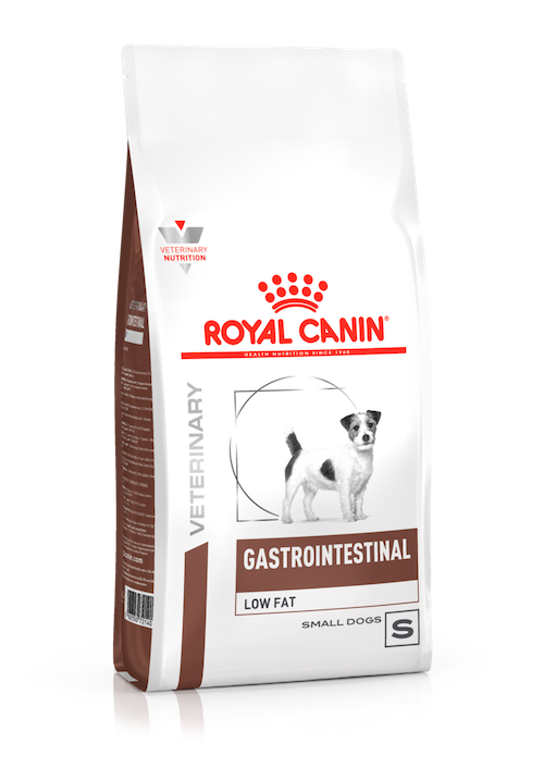 Royal Canin Prescription Diet Canine GastroIntestinal L
