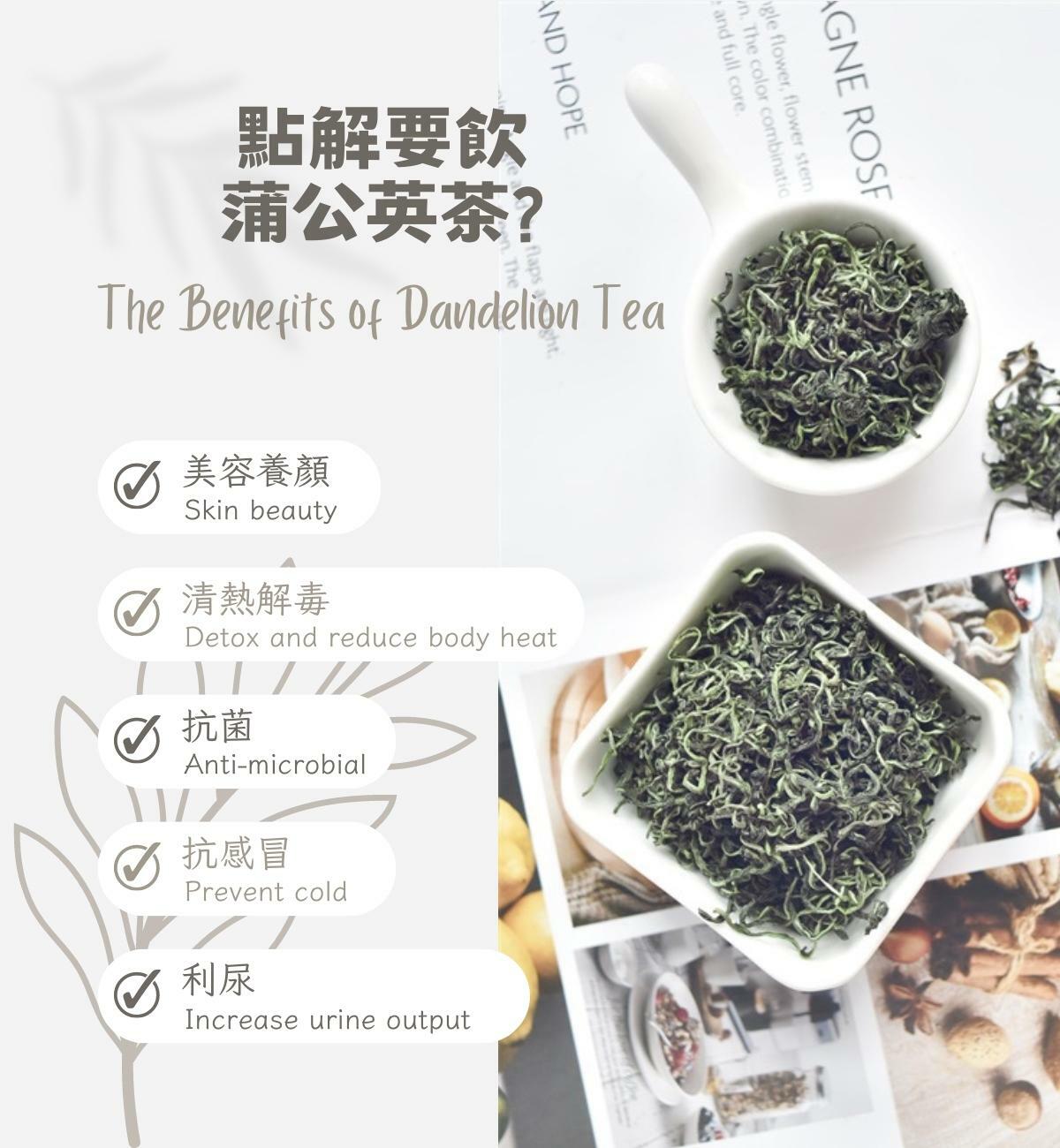 蒲公英茶 (40g/1pc) 抗菌利尿 強化肝臟