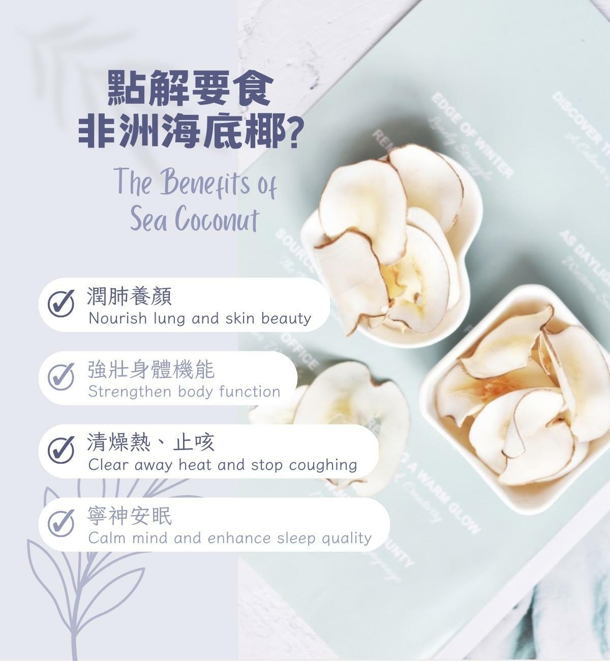 海底椰 (50g/1pc) 清燥熱、止咳、滋陰補腎、潤肺養顏、強壯身體機能