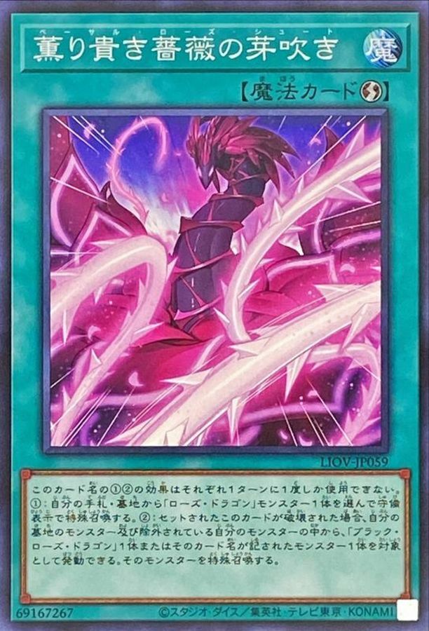 LIOV-JP059 薫り貴き薔薇の芽吹き