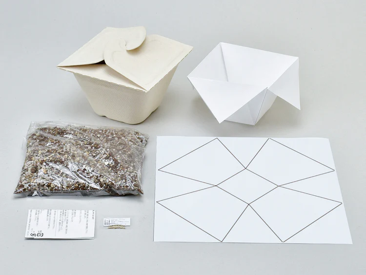 Seishin BAGASS GREEN ECO 甘蔗渣環保紙盆盆栽