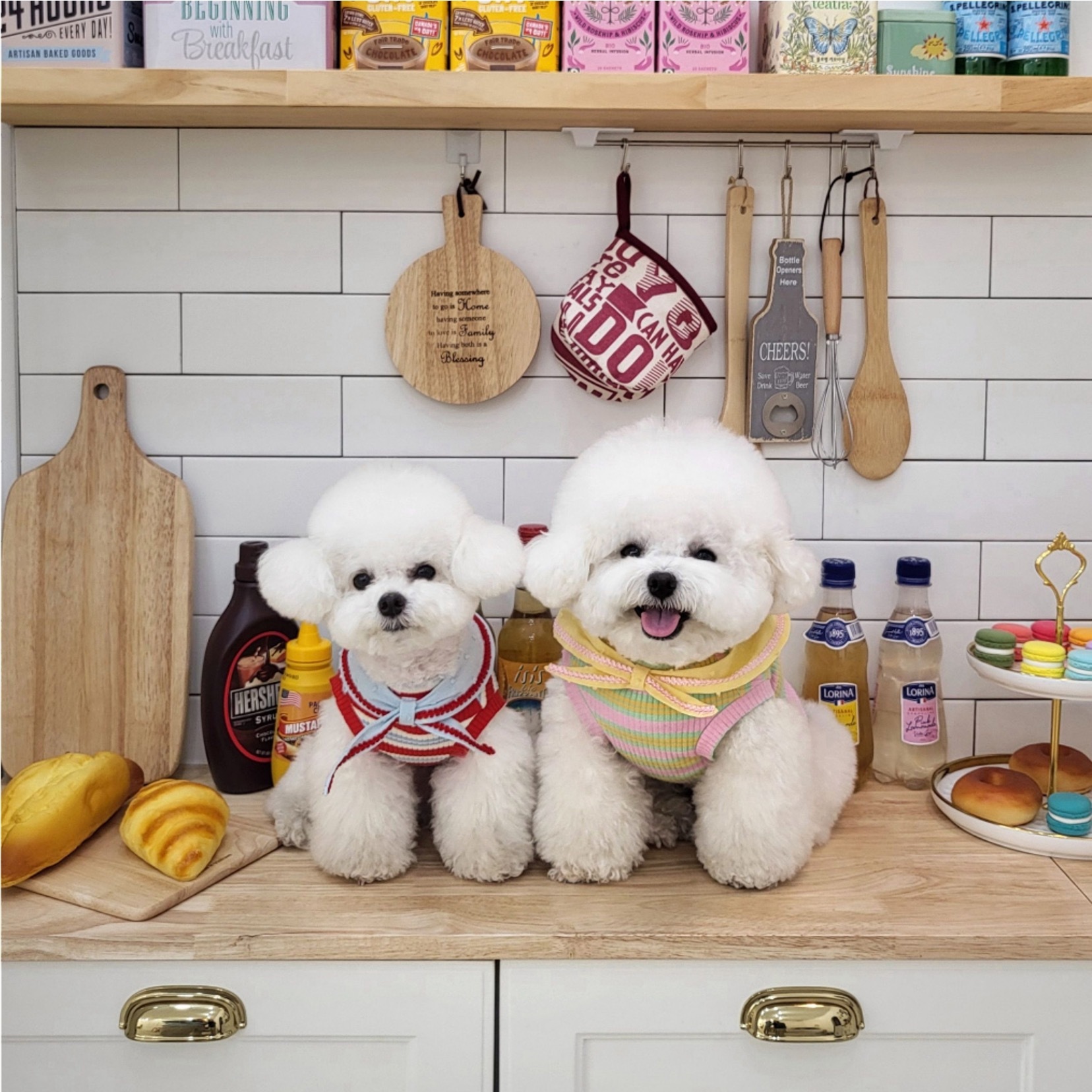 Jella 野餐領圍條紋T-Shirt