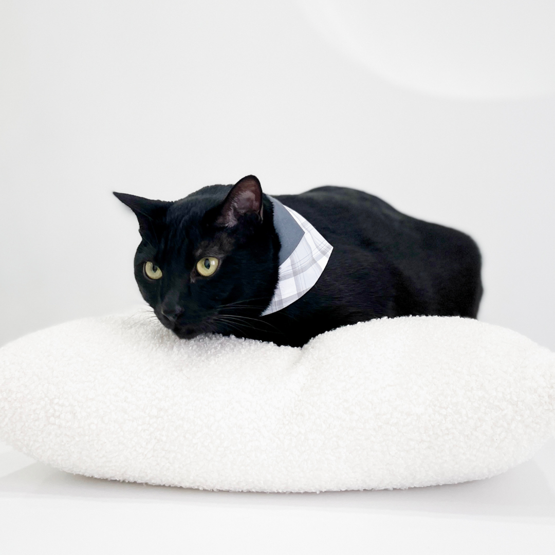 PuriPuri® 寵物領巾 - 堅強小石頭