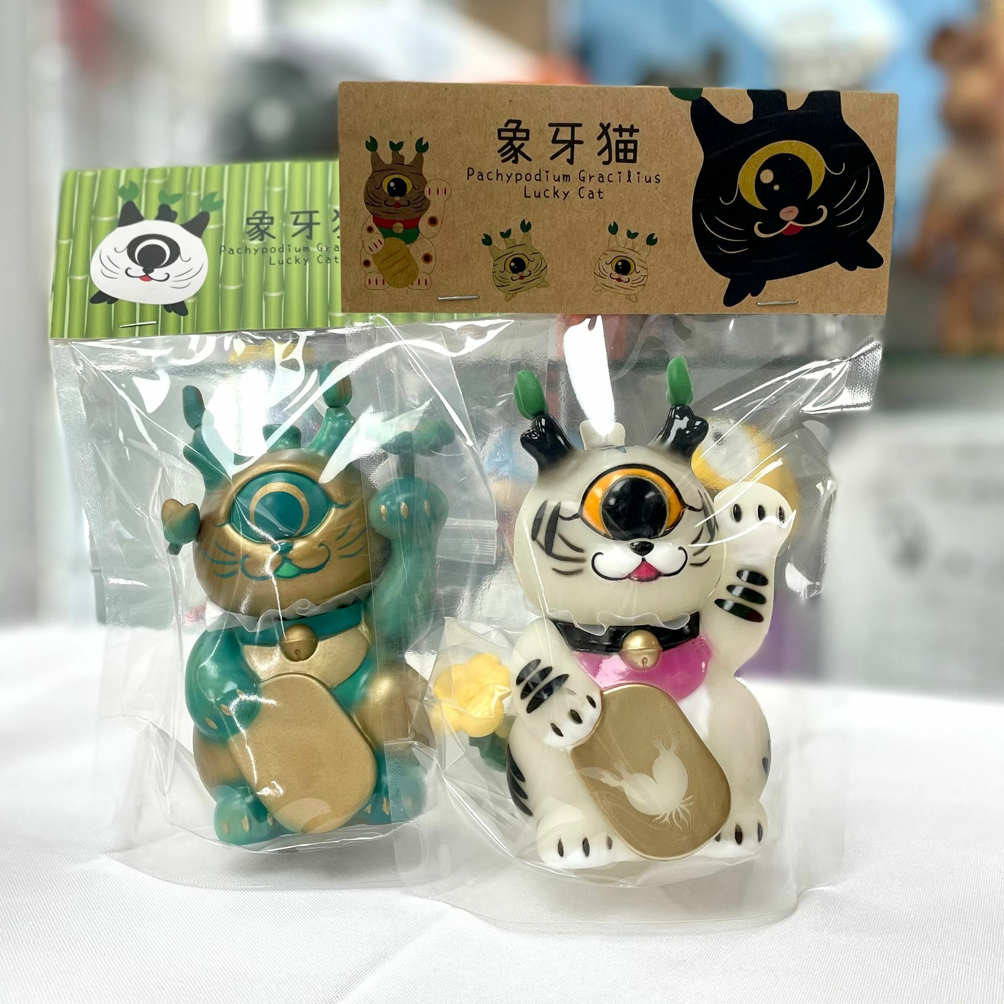 Pachypodium Gracilius Lucky Cat (Glow in the Dark Year of Tiger/Patina Tiger)