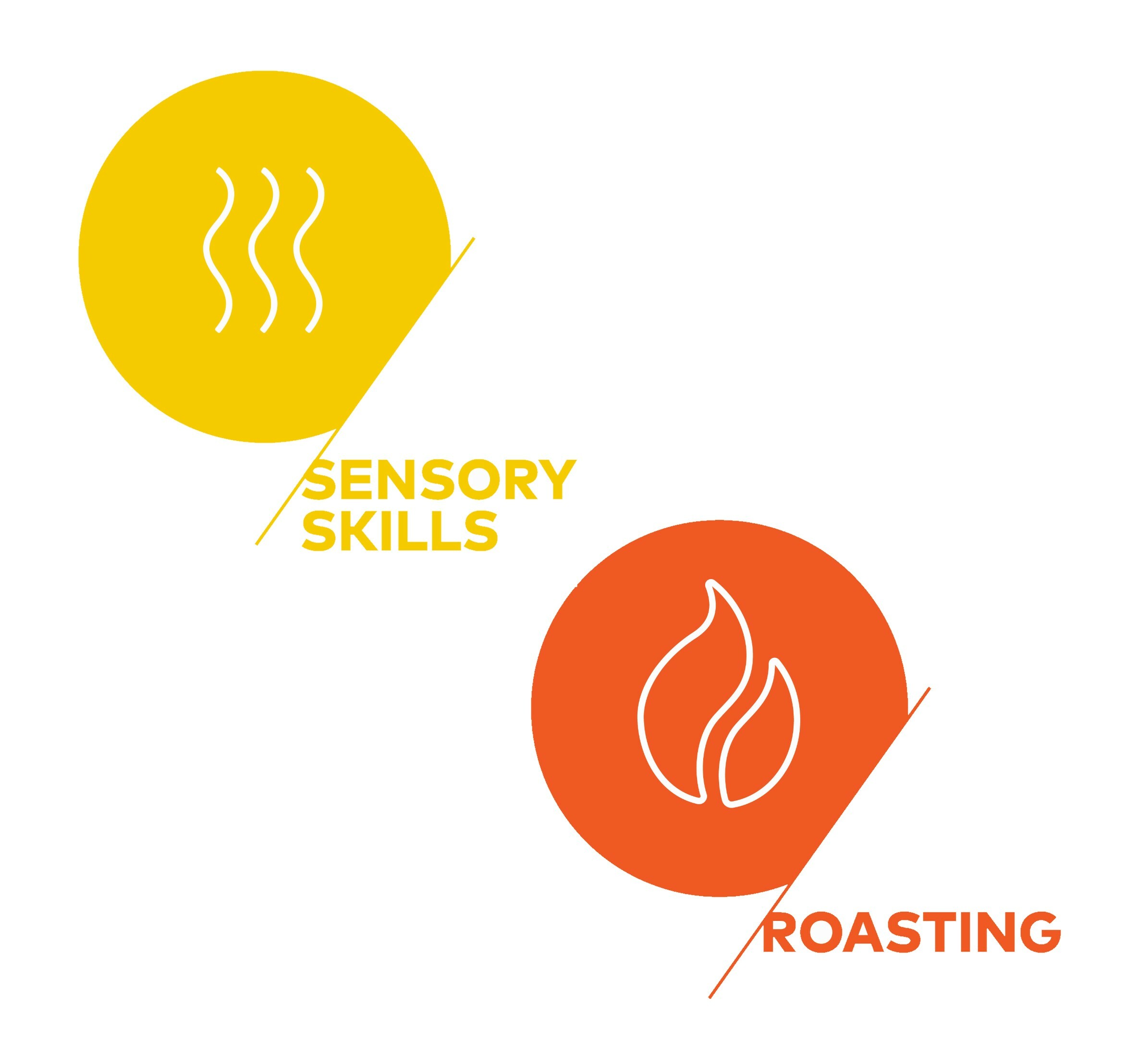 (Bundle Discount) SCA Sensory & Roasting Foundation 感官及烘焙基礎證書課程組合